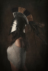 lady knight Poster och Canvastavla