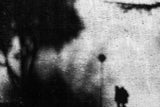 shadows Poster och Canvastavla