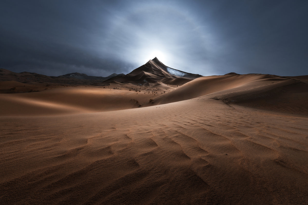 winter desert Poster och Canvastavla