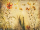 INTIMATE LANDSCAPE Poster och Canvastavla