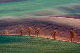Moravian landscape Poster och Canvastavla