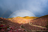 The Rainbow of Seda Poster och Canvastavla