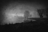 Twilight in the swamp... Poster och Canvastavla