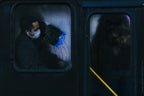 Poster och Canvastavla