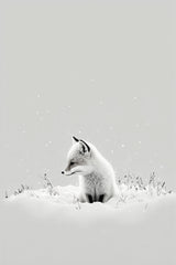 Snow Fox Poster och Canvastavla