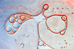 Renal bubbles Poster och Canvastavla