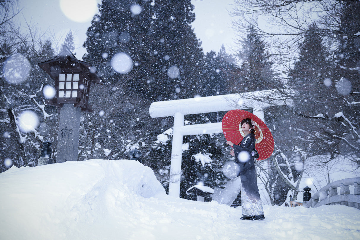 Winter shrine in japan Poster och Canvastavla