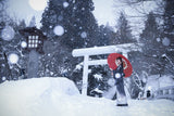 Winter shrine in japan Poster och Canvastavla