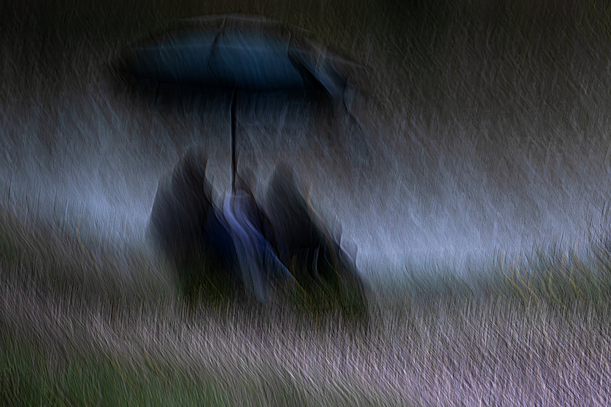 Rainy Day Poster och Canvastavla