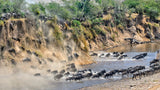 Great Migration Poster och Canvastavla