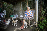 Old Lady and 3 dogs Poster och Canvastavla