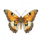 Butterfly 21 Poster och Canvastavla