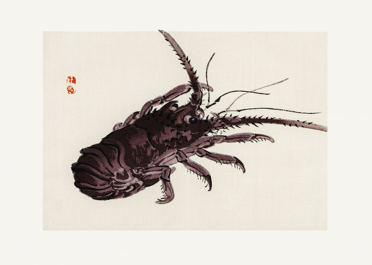 Crayfish Poster och Canvastavla