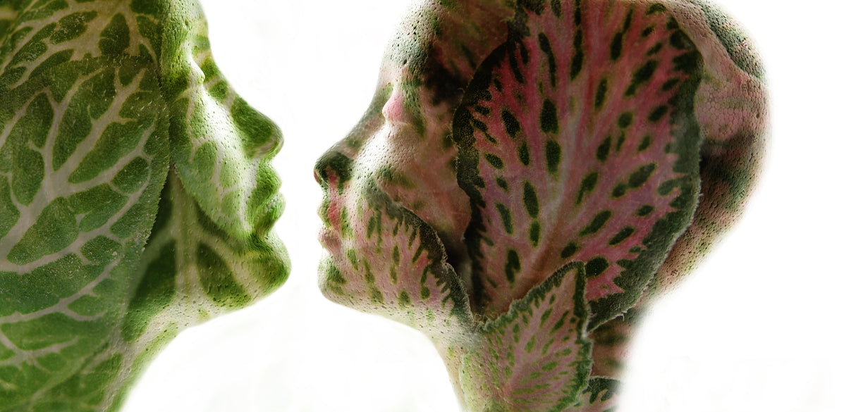 Nature lovers Poster och Canvastavla