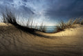 Dunes........... Poster och Canvastavla