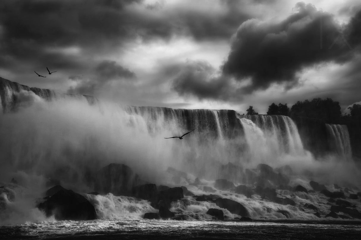 Powerful Splendor Poster och Canvastavla