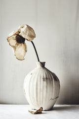 White Ceramic No 4 Poster och Canvastavla