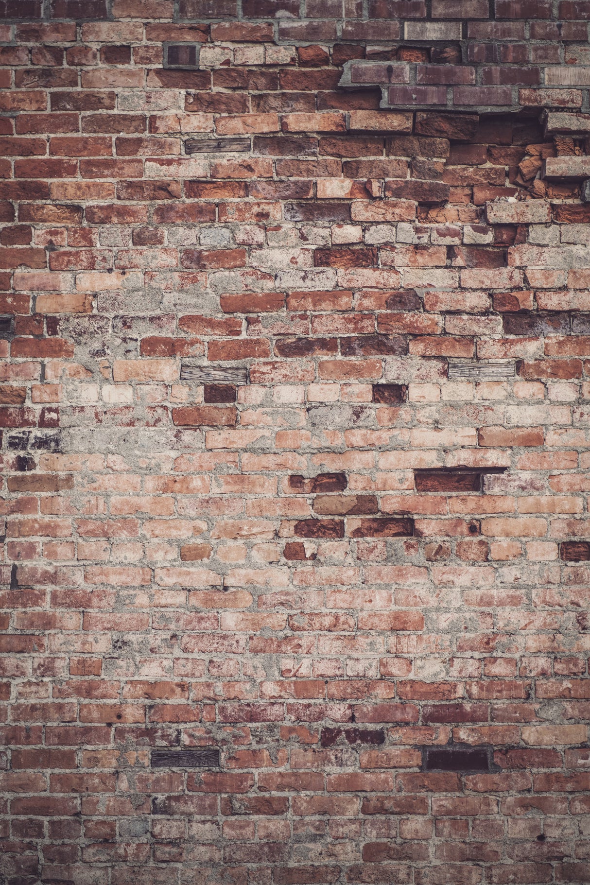 Bricked Poster och Canvastavla