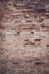 Bricked Poster och Canvastavla