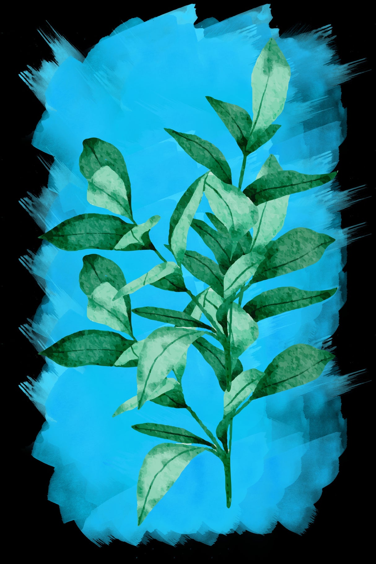 Bay leaf plant Poster och Canvastavla