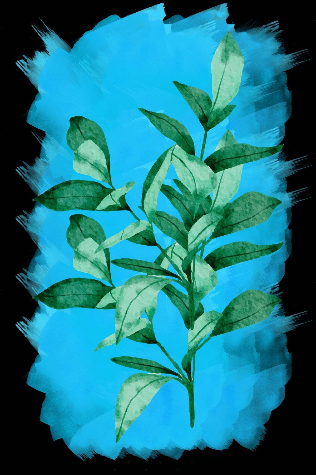 Bay leaf plant Poster och Canvastavla