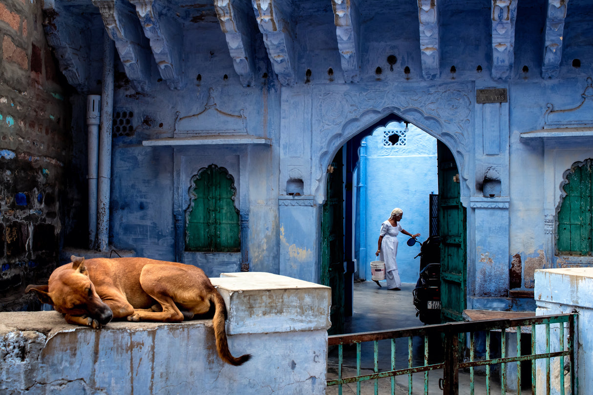 A morning at Jodhpur the Blue city Poster och Canvastavla