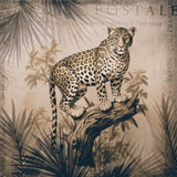 Cheetahs Exotic Jungle Monochrome Poster och Canvastavla