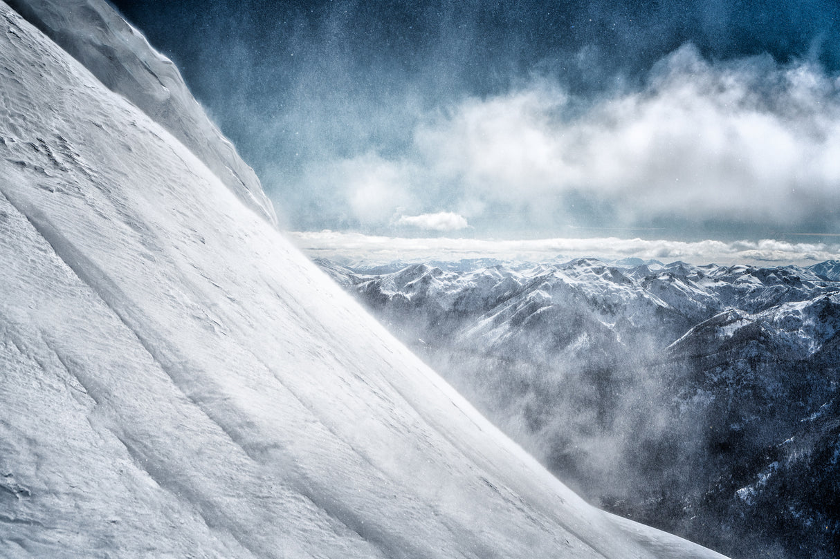 Snow in the wind Poster och Canvastavla