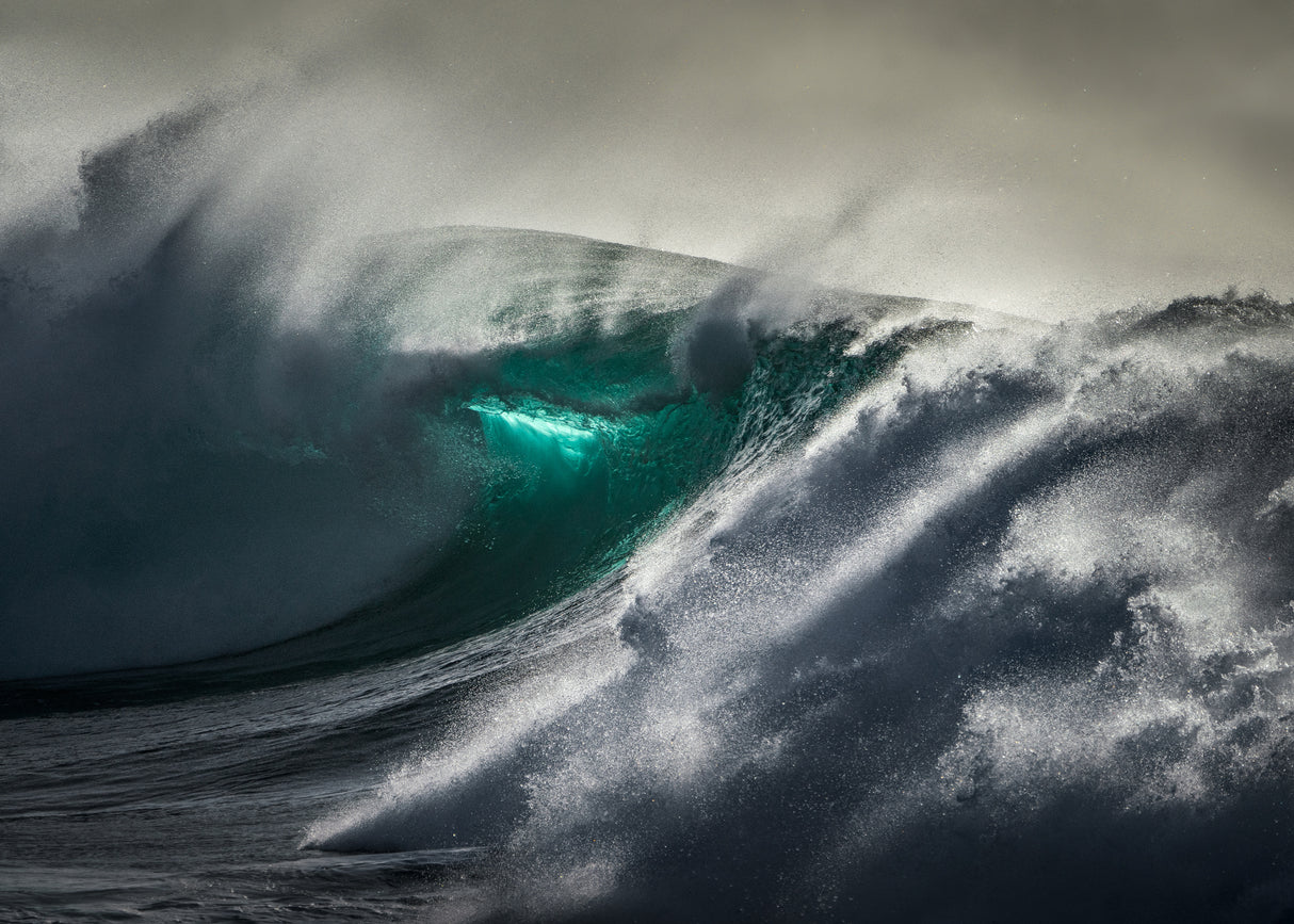 Waimea Fury Poster och Canvastavla