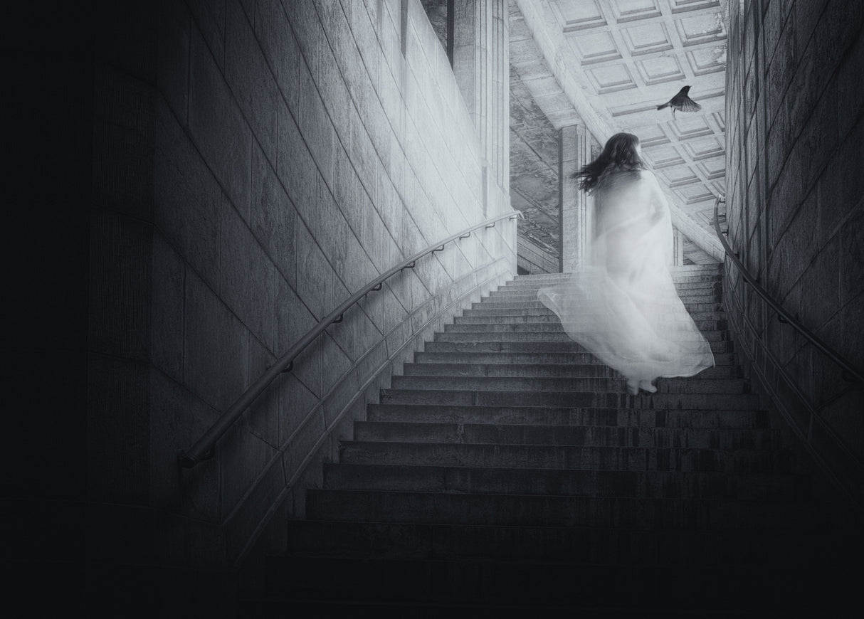 Guide me to the light Poster och Canvastavla