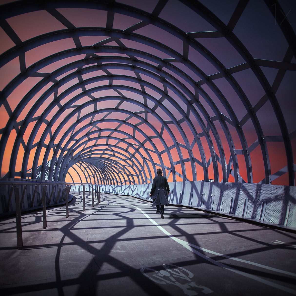 A tangled web we weave Poster och Canvastavla