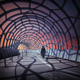 A tangled web we weave Poster och Canvastavla