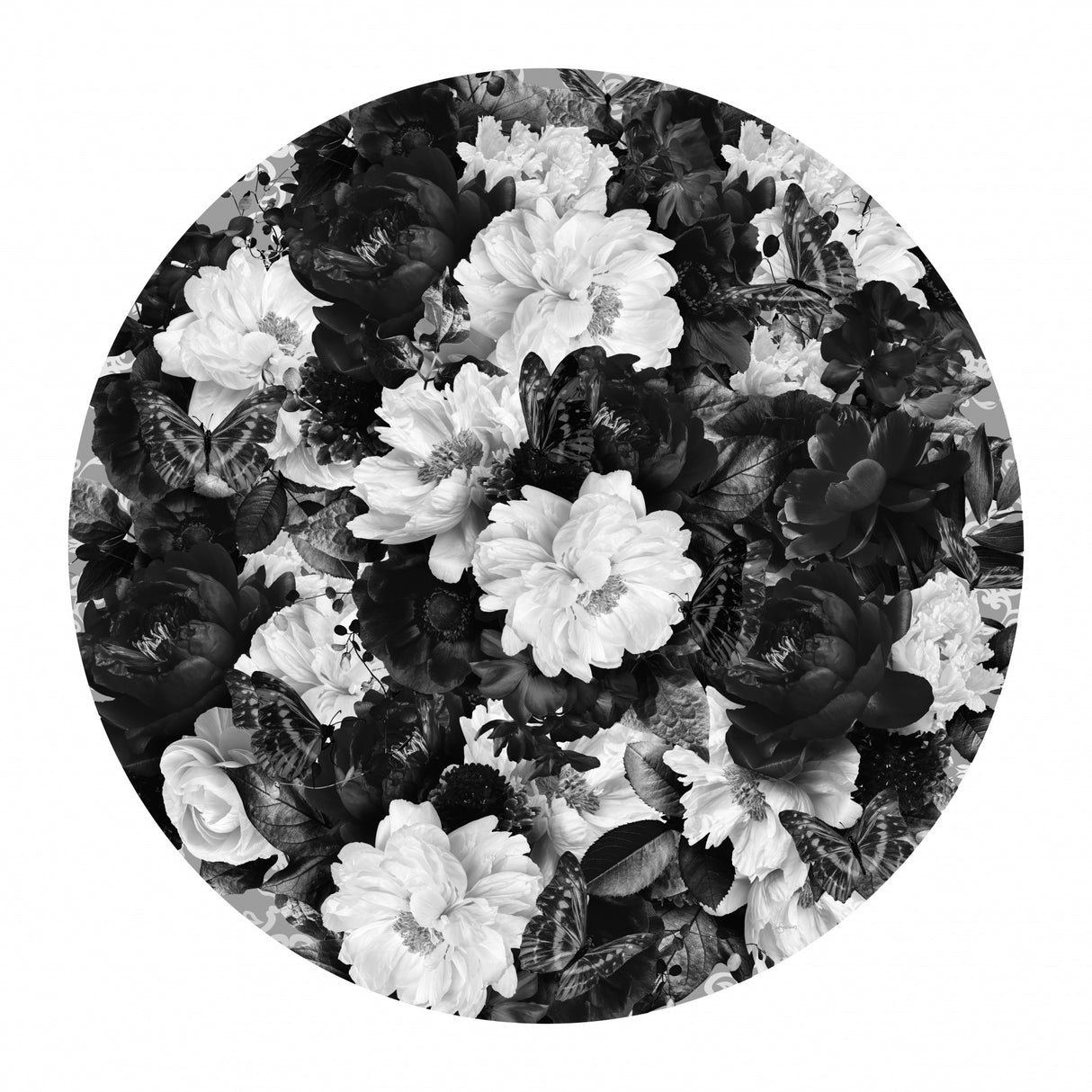 Bowie Blooms Black &amp; White Poster och Canvastavla