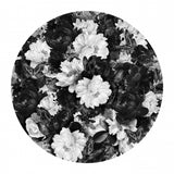 Bowie Blooms Black &amp; White Poster och Canvastavla