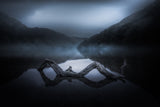 Dreamscape Poster och Canvastavla