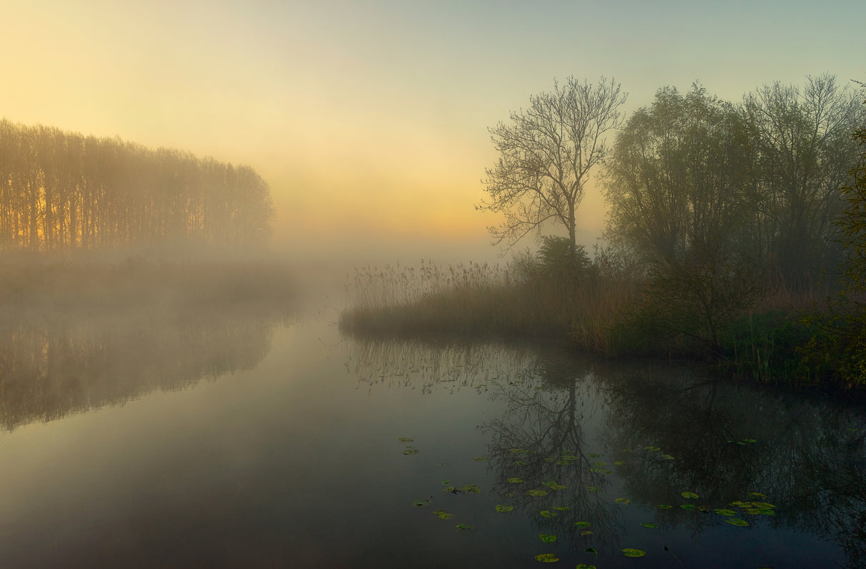 Nature's Painting Poster och Canvastavla