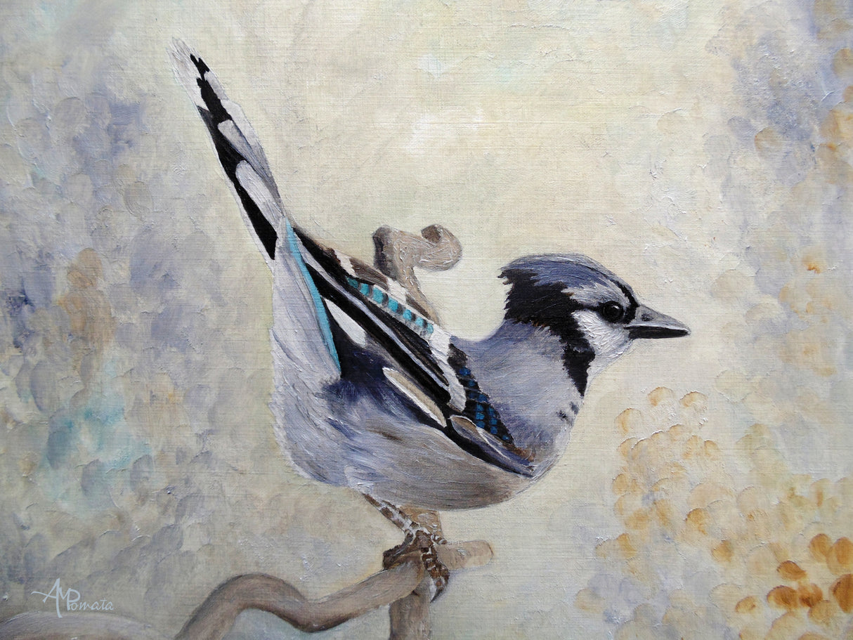 Attitude Derriere Blue Jay Poster och Canvastavla