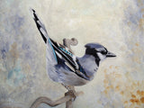Attitude Derriere Blue Jay Poster och Canvastavla