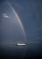 Sail Poster och Canvastavla