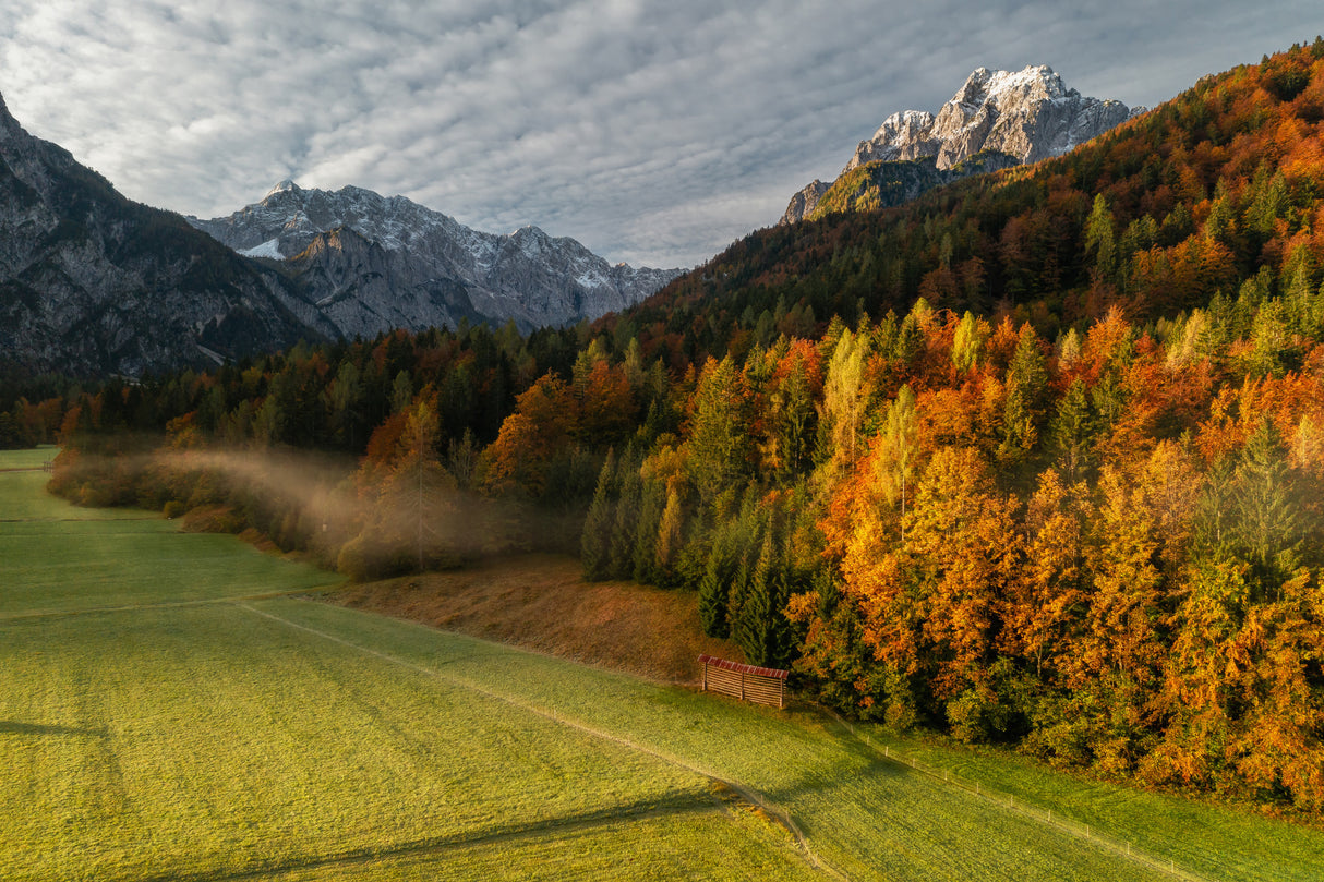 Autumn Poster och Canvastavla