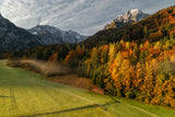 Autumn Poster och Canvastavla