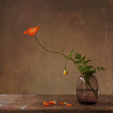 A story with orange poppies Poster och Canvastavla