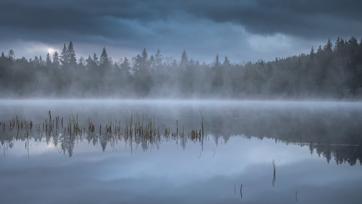 The morning fog Poster och Canvastavla