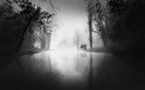 foggy morning Poster och Canvastavla