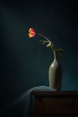 A Orange Tulip Poster och Canvastavla