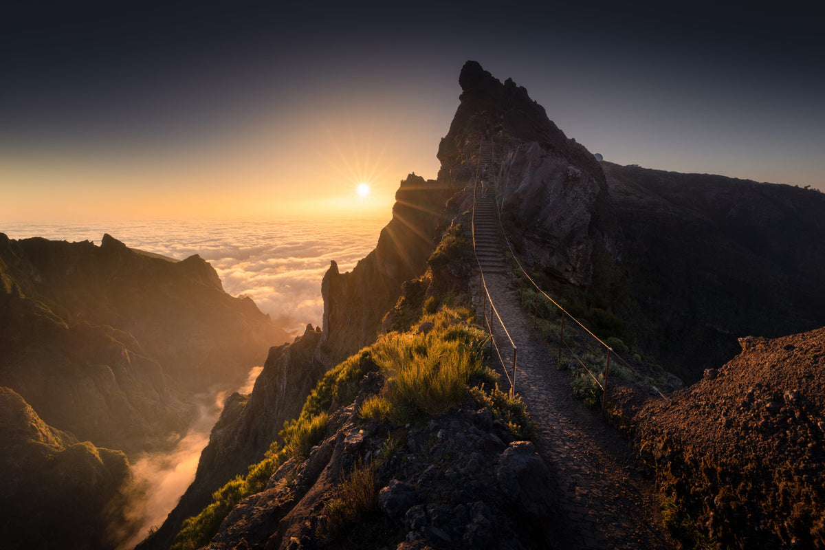 Madeira Poster och Canvastavla