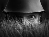 Hide and seek Poster och Canvastavla