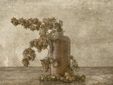 Common Hop 2 Poster och Canvastavla