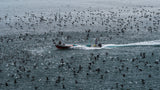 Fishing boat - Um Al Quiween Poster och Canvastavla
