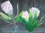 Protea Poster och Canvastavla
